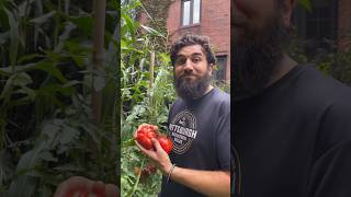 Living off the Land with Community! #growyourownfood #urbanhomesteading #offgridliving