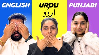 Language Challenge 😱 English vs Punjabi vs Urdu 🔥