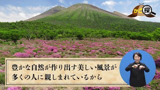 【かご探】霧島に行ってみよう！～日本で最初の国立公園が90周年を迎えました～(4月13日放送)