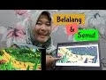 FABEL BELALANG DAN SEMUT || SIMPLE STORYBOARD || KETERAMPILAN BERBICARA SISWA SMP/MTS || COCOMELON