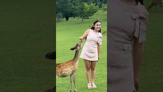 [外国人観光客の反応] MY FIRST MINI VLOG NARA DEER PARK JAPAN | nara deer | 外国人観光客 | Vlog #deerpark #japan