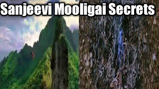 Sanjeevi Mooligai Secrets Explained In Tamil|Madras Mentos|