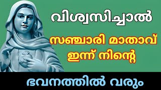 സഞ്ചാരി മാതാവ് ഇന്ന് നിന്റെ ഭവനത്തിൽ വരും 🙏 #kripasanam #kreupasanam #കൃപാസനം