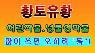 [텃밭농부. 1,062]  황토유황도 어린작물. 넝쿨성작물에 많이 치면 독이된다.