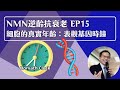 NMN 逆齡抗衰老系列 Ep15：細胞的真實年齡   表觀基因時鐘⏰ | 逆齡抗衰老⏪ | Dr. SAM🥼