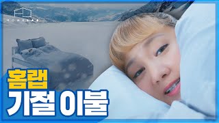 홈랩 기절베개 - 남극편