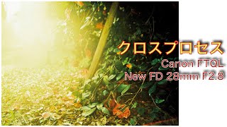 【クロスプロセス】ポジフィルムのPROVIA 100F を「クロス現像」の作例 / Canon FT QL  / New FD 28mm F2.8 / フィルムカメラ / フィルム写真