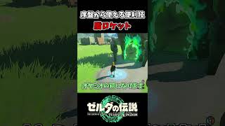 【ティアキン】序盤から使える盾ロケットが便利すぎるｗｗ【ゼルダの伝説 ティアーズ オブ ザ キングダム】