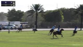 6g - Metropolitan Cup - The Polo School vs Continuum