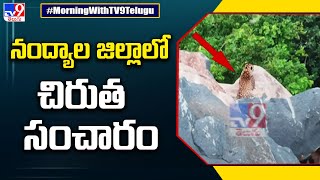 నంద్యాల జిల్లా లో చిరుత సంచారం - TV9