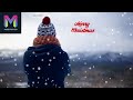 Adding Snowflakes to your Adobe Muse website | Particles.js | Muse For You