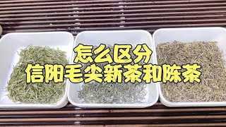 怎么区分信阳毛尖新茶和陈茶？可别上当了哦！