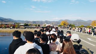 November 26, 2022 / I came to see the autumn leaves in Arashiyama, Kyoto!