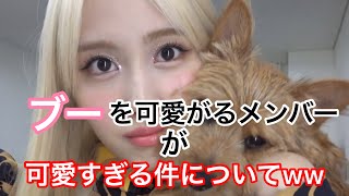 【TWICE 日本語字幕】ブーを可愛がるメンバーが可愛すぎる件について‪w‪w