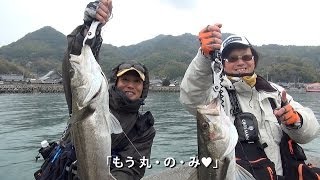 海釣天動画 伊保田港スズキ