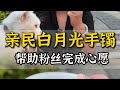 【丹姐珠寶定製諮詢微信LINE:djzb006 】亲民的白月光手鐲，丹姐盘下来了！#翡翠 #翡翠手鐲 #翡翠玉石 #緬甸翡翠 #翡翠a貨 #天然翡翠 #珠寶首飾 #手鐲定製 #賭石