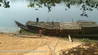 দরদরিয়া বাজার।তিন লাখ টাকার বাঁশ। গাজীপুর-নারায়ণগঞ্জে বাঁশের ব্যবসা।