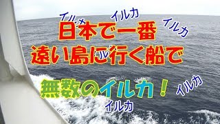 【ははじま丸】船に乗って日本で一番遠い島に行ってみた