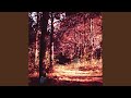 Intro