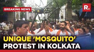 Dengue menace In Kolkata: BJP Holds 'Mosquito-net Protest' Over Rising Cases