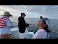 fishing for kingfish bonita off miami florida