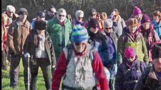 Wales Coast Path (Gowerton to Penclawdd) with Swansea Ramblers