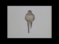 Kourosh Yaghmaei - Niyayesh}
