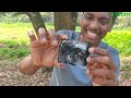 🔥iphone ചുമ്മാ കത്തിച്ചു കളഞ്ഞു... phone vs diwali flower b techy