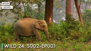 Wild 24: S02 EP01