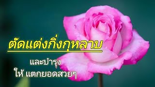 ตัดแต่งกิ่งกุหลาบ | บำรุงให้แตกยอด | EP.317 | คนบ้ากุหลาบ