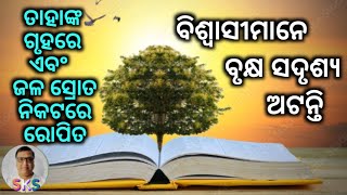 ପ୍ରତ୍ୟେକ ବିଶ୍ୱାସୀକୁ ବୃକ୍ଷ ସହିତ ତୁଳନା କରାଯାଇଛି