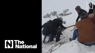The search for avalanche survivors