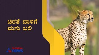 3 Year Baby Lost Life By The Attack Of Leopard At Tumkur