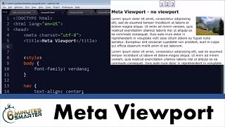 Use Meta Viewport for Responsive Web Sites