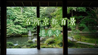 中日两国僧侣共同打造的古寺 | 京都秘境 | 莲华寺 | 名所京都百景