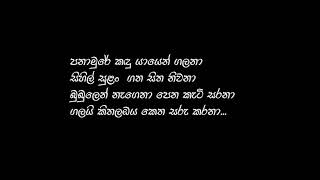 Panamure Eth Raja | A Song of Saman Lenin | පනාමුරේ ඇත් රාජා