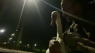 15 mins of wild mute swan Edd🦢 being affectionate 🤗 at night 🌙