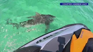 Walton County man encounters aggressive bull shark while on a jet ski