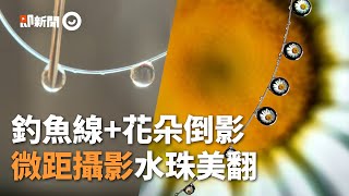 攝影師靠手機創作「液體藝術」 小水滴包覆花朵美翻｜照片｜微距鏡頭｜藝術