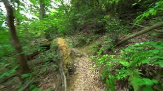 （地元）滋賀県　近江八幡　八幡山登山