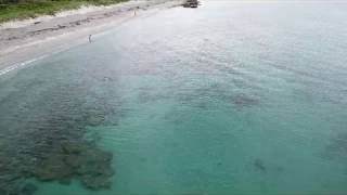 Coral Cove in Jupiter FL - Crystal Clear Summer Water - Sharks, Tarpon, Rays