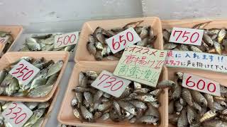 道の駅笠岡ベイファーム直売所鮮魚コーナー6／26