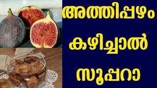 അത്തിപ്പഴം കഴിച്ചാൽ സൂപ്പറാ/FIG FRUIT