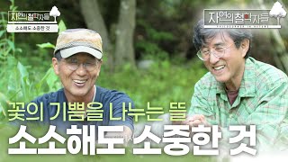 [자연의 철학자들] 소소해도 소중한 것 | KBS 230623 방송