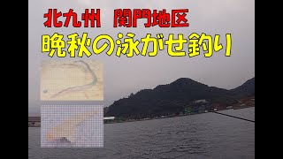 北九州　秋の泳がせ釣り【関門地区】