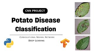 Potato Disease Classification Project | Convolutional Neural Network (CNN) | Deep Learning