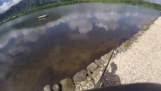 He’eia Fishpond Action! - Jesse's Solo Sesh