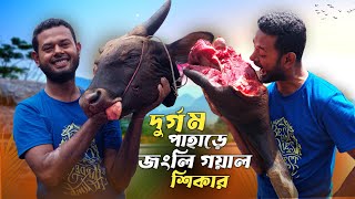 দেখুন কিভাবে পাহাড়ে গয়াল শিকার করে | এরা এই সব কি খায়? | Real Life of Bandarban |