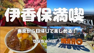 【ひとり旅】群馬県伊香保温泉日帰りの旅〜1泊2日したいけど、日帰りでだってゆったり楽しんでやる！〜