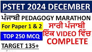 PUNJABI PEDAGOGY MARATHON FOR PSTET/CTET 2024